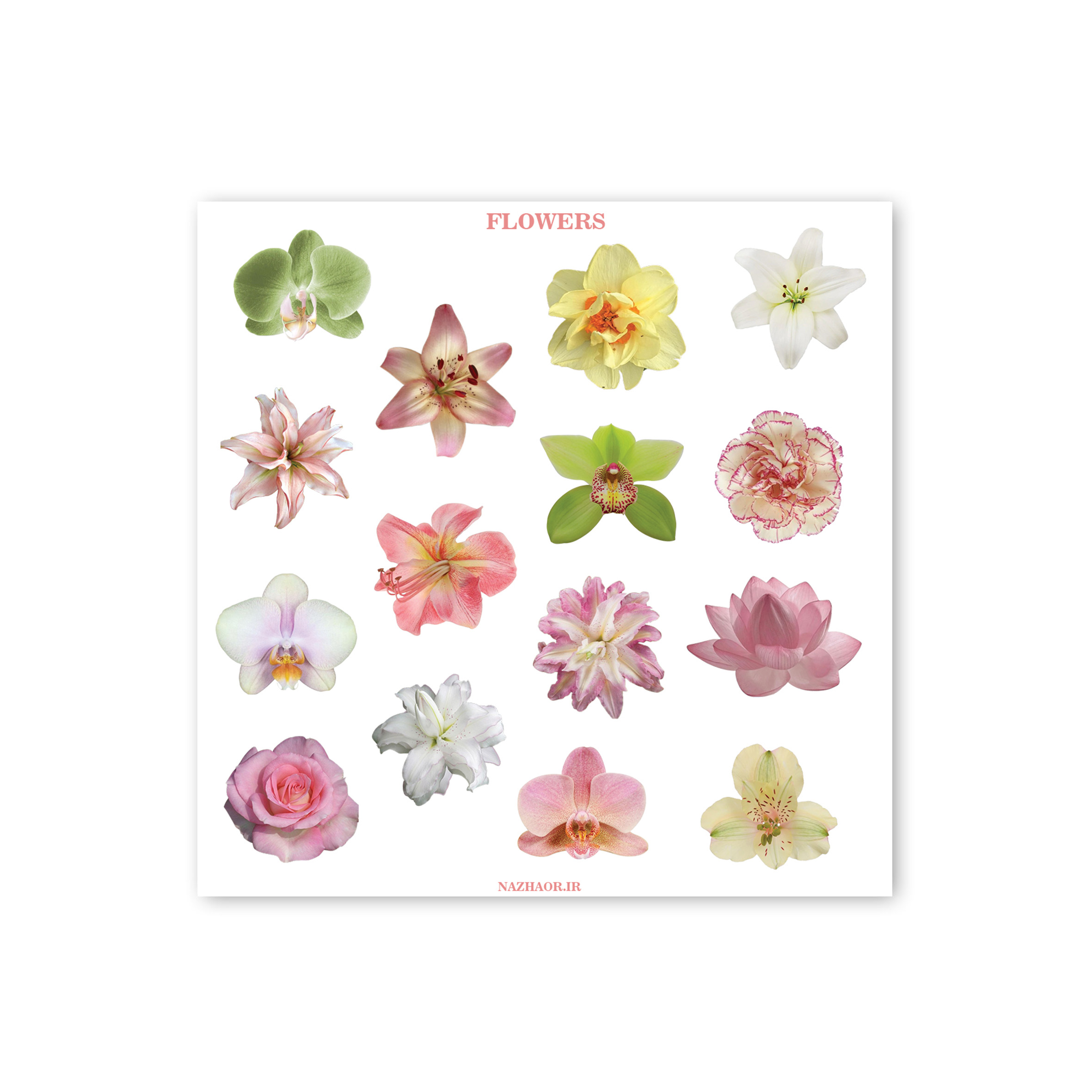 استیکر "گل ها"